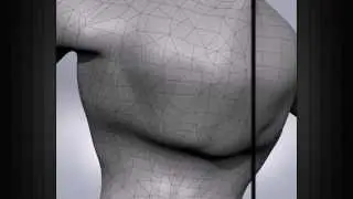 CG101: What is Edge Flow on models?