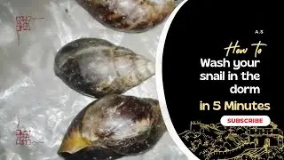 How to Wash your snail @Aunty_Stella