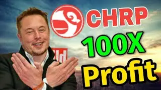 CHRP coin Whats Next! Chirpley Price Prediction! CHRP Coin News Today