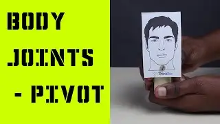 Body Joints - Pivot | ThinkTac