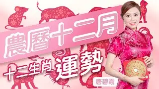 農曆十二月十二生肖運勢 | 屬X的朋友今個月是貴人運的月份 工作方面如虎添翼 | 屬X的朋友出年犯兩重太歲請好好把握這月運勢 | 屬X的朋友稍微堅持一下這個月 下年運勢就會更加好