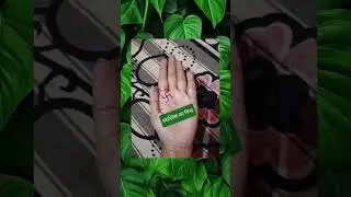 Does Your Palm Have a SECRET Swastik Mark?