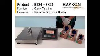 An Introduction to Baykon BX2X Series Indicators