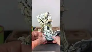 Ushoran, Mortarch of Delusion - Part 1 #ageofsigmar #miniaturepainting #warhammer #flesheatercourts