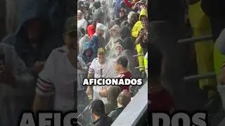 Se Rehus&oacute; A Moverse (@scottkinmartin)