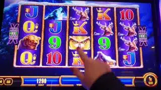 WOLF GAME🐺🎰NICE or MEAN ? TIMBERWOLF GOLD for @wolfwolf4909