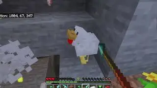 Slaughter of the Chickens