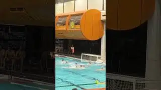 #vaterpolo #sports #sabac #swimming #delfini #swim #pobeda #vksabac #swim