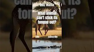 👅 Prove You Are a GENIUS | Animal Quiz 👅 #shorts #quiz
