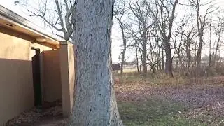 hey guys.mp4