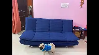 Sleepyhead SofaBed Two - Foldable 3 Seater Sofa Cum Bed Rs.16,990 (Fabric) Amazon Flipkart Unbox Fit
