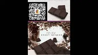 Chocolate Workshop Level 1 Beginners