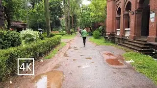 Curzon Hall, University of Dhaka || Walking in the rain in beautiful Curzon Hall campus of DU.