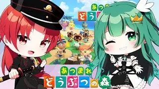 【あつまれ！どうぶつの森】あっぷでぇときたらしい【#かいみんちゃんねる！】#vtuber
