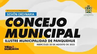 CONCEJO MUNICIPAL - 20 DE AGOSTO DE 2025