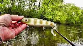 MUSKY FISHING NORTHERN WISCONSIN!! - Multiple Muskies on Kodiak Bluntnose Glider