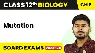 Mutation - Molecular Basis of Inheritance | Class 12 Biology (2022-23)