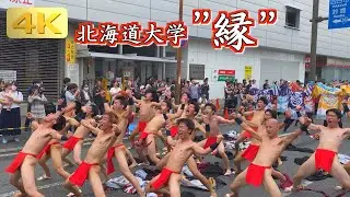 2025 10/12 北海道大学 縁 安濃津よさこい Hokkaido Univ. EN in Anotsu YOSAKOI 大パレード３本目 : Tsu Festival