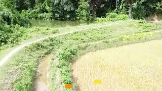 Flood Diversion Channel II Sonaichari II REupaichari RD Block