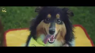 Stiftung Kindertraum und Pet RIBBON - Ein Rollstuhlassistenzhund für Lara