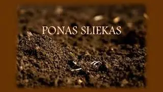 Ponas Sliekas