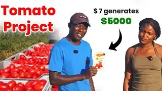We are starting our Tomato project in the rural 