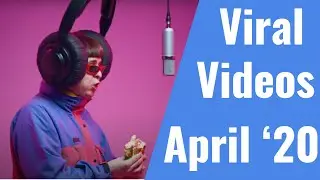 Best Viral Videos from April 2020 (so far)
