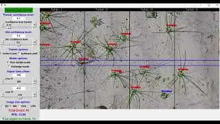 Weed detection using Yolov8 tracking and RTK GPS