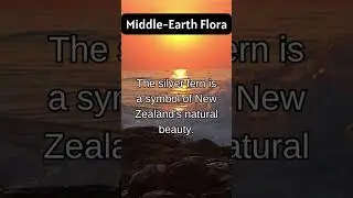 Silver Ferns and Enchanted Forests: Middle-Earth's Flora