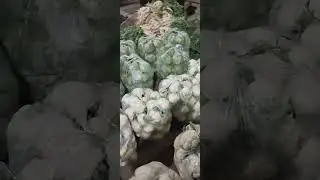 cauliflower 1kg price list of sabzi mandi in ahmedabad/ vegetable mandi rates wholesale & retail
