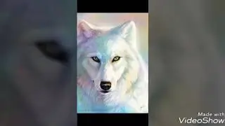 Ashley, Wolfychu, Me Friends|Katgaming, foxygirl
