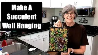How To Make A Succulent Wall Hanging * Easy Succulent Craft
