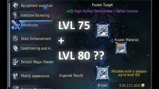 [AION 5.8] Weapon for Armsfusion. Do You Need to Reduce Recommended Level?