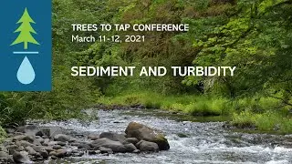 Sediment and Turbidity in Forest Streams