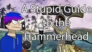 A Stupid Guide to the Hammerhead (Depth guide)