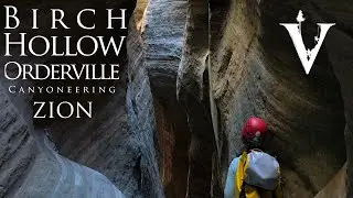 Birch Hollow + Orderville, Canyoneering Zion National Park