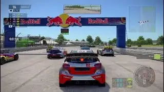 DirtFish Pro Rally Course Ace Racing