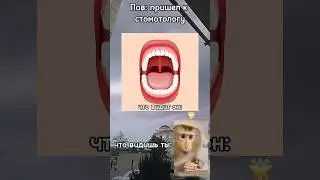 : ) #рекомендации