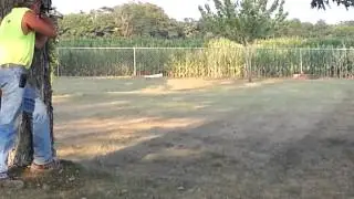 Tannerite backyard fun