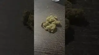 Zizzle- Silver Haze // Strain Review
