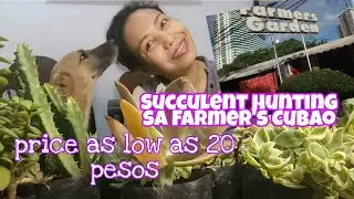 Farmer's Garden shopping for succulents || murang bilihan ng succulents