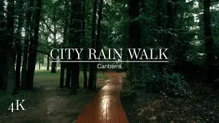 Morning walk through Canberra in light rain  (Umbrella Binaural 3D City Sounds 4K ) 🎧 ⛆