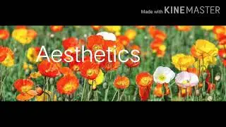 Introduction to Art Education in B.Ed curriculum