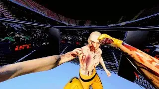 Realistic and Brutal UFC Combat | Blade & Sorcery VR [4K]