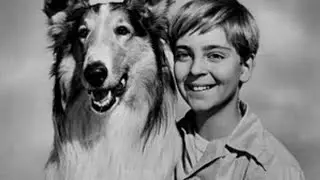 Lassie Cap 4 y 5 (Doble cap&iacute;tulo En Latino (1954)