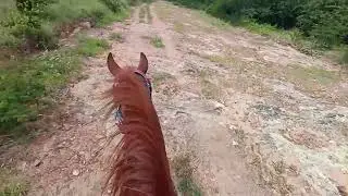 Dando um repaço