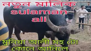 sulaman ali নতুন মহ ৩ লাখ ৩০হাজাৰ