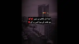 Talha name best status ❤️\ special WhatsApp status ❤️
