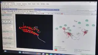 Computational chemistry (Molecular Docking) Demonstration By Akansha Mishra Ma'am.