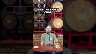 Discovering Chicago's Surprising Craft Beer Scene What You Didn't Know